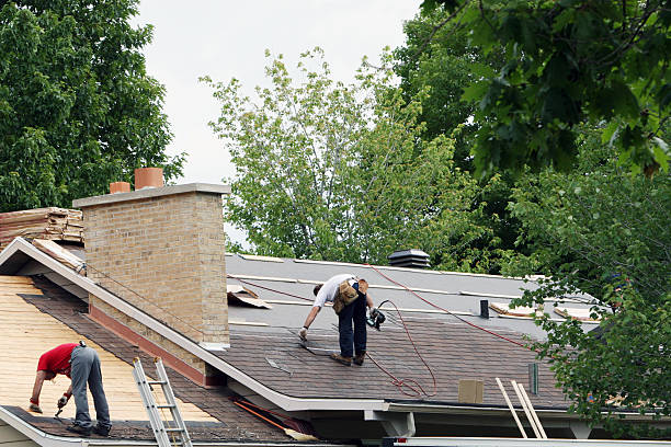 Best Roof Maintenance Services  in Limestone Creek, FL