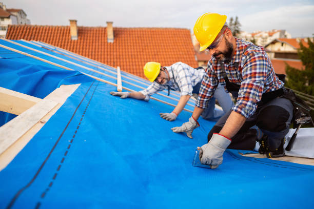 Best Roof Restoration Services  in Limestone Creek, FL