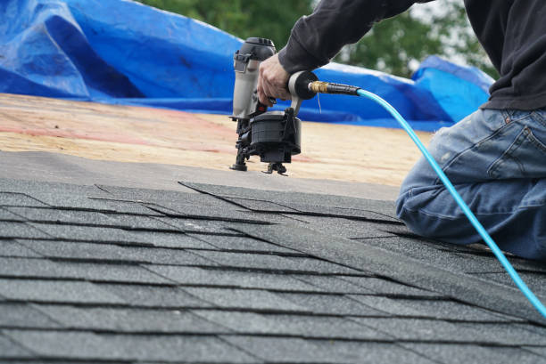 Professional Roofing Contractor in Limestone Creek, FL