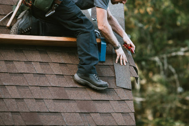 Quick and Trustworthy Emergency Roof Repair Services in Limestone Creek, FL